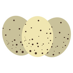 Hand drawn of colorful eggs, vector illustration art.