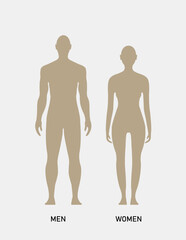 Vector horizontal silhouettes of man and woman in grey color, Male and female gender, model body shapes,  front view, isolated on white, icon,flat and line, for medical infographic, fashion sketching, - obrazy, fototapety, plakaty