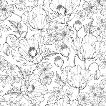 Outline pattern with poppy flowers, leaves