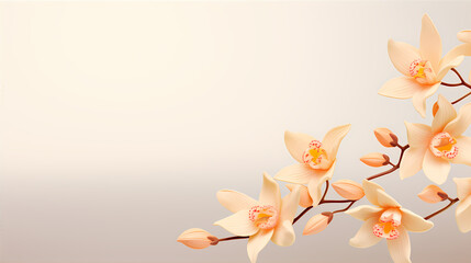 Slide with cymbidium orchid and space for text. Peach crush frame. Background with soft gradient and spring branch with flowers. Design for presentation, slide, print, interior, poster.  - obrazy, fototapety, plakaty