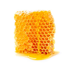 Honeycomb with honey on white backgrounds