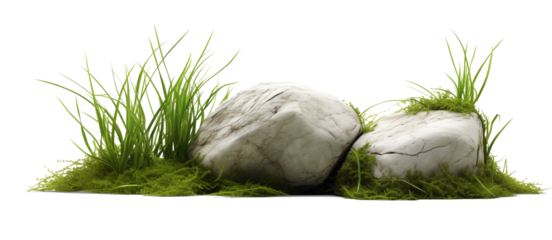 Green moss with decorative rocks and grass isolated on white background