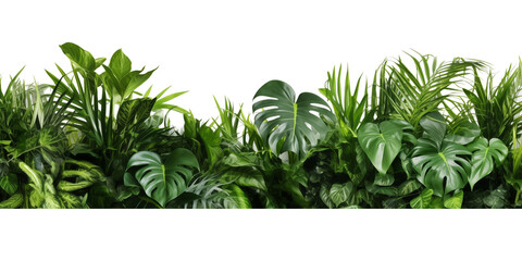 Beautiful composition with fern and other tropical leaves on white background. Banner design - Powered by Adobe