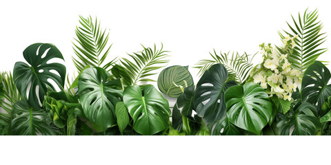 Tropical leaves foliage plant bush floral arrangement nature backdrop isolated on white background, clipping path included.