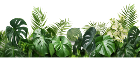 Tropical leaves foliage plant bush floral arrangement nature backdrop isolated on white background, clipping path included.