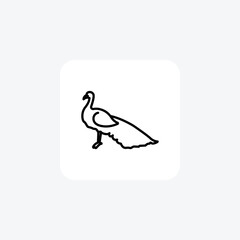 Peacock vector line icon, outline icon, pixel perfect icon
