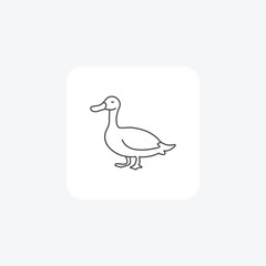 Duck thin line vector icon, outline icon, pixel perfect icon