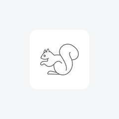 Squirrel thin line vector icon, outline icon, pixel perfect icon