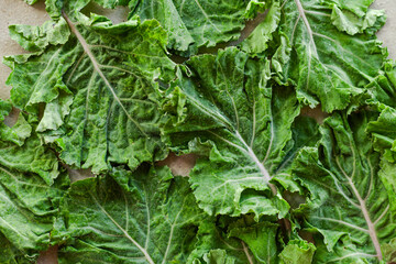 fresh greens kale leaf leaves on minimal grey concrete background healthy food greenery