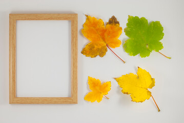 Beautiful autumn composition. Photo frame, dried leaves. Flat lay, top view