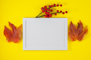Beautiful autumn composition. Photo frame, dried leaves. Flat lay, top view