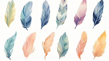 Watercolor feathers on a white background