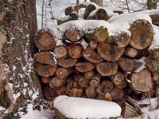 Holzstapel im Schnee