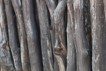wood log dry natural texture, design elements for backdrops