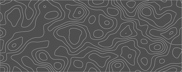 Abstract topographic map gray topographic line contour map background. topographic wavy curve line Geographic curved relief Black and white wavy abstract topographic map