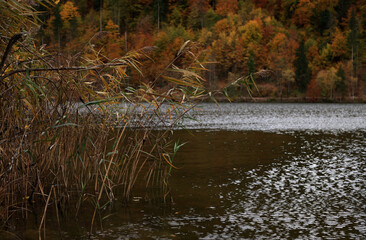 Image of autumn in Bavaria