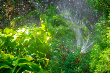 Efficient water spray system to make garden watering easier. Saves water by delivering precise...