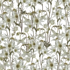 White dried flowers
