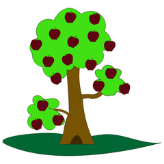 There is one apple tree and there are three areas on it where beautiful apples grow. The tree can be used as a graphic resource.