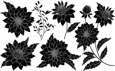 Set with silhouettes of chrysanthemums
