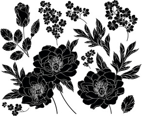 Set of silhouettes of peony flowers and leaves