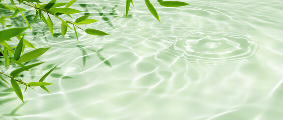 border of green bamboo leaves over sunny water surface background banner, beautiful spa nature...