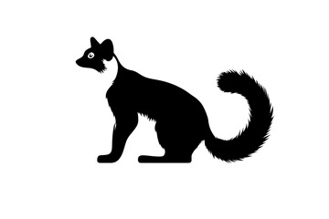 Obraz premium black and white meercat
