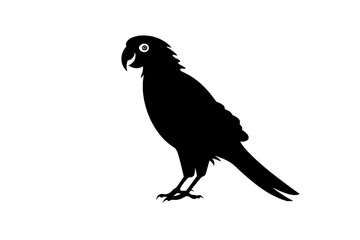 Fototapeta premium crow on a white background