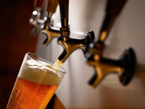 Beer Pour at Bar Tap