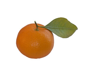 An orange of the Clemantin mandarin variety in December