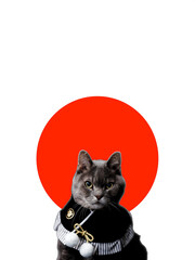 正月の日本猫