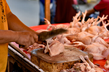 Close-up of a Poultry Seller's Hand at a Traditional Market