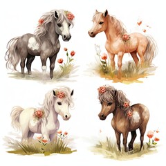 Set of cute horses on a white background