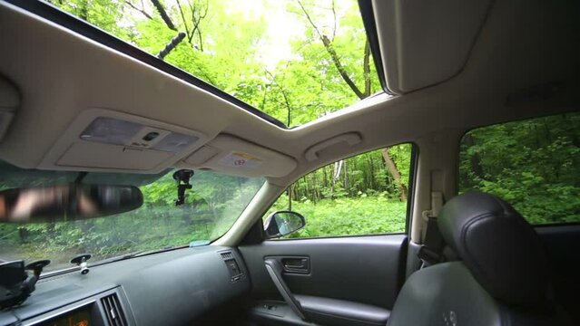Cabin interior of car view to park with green trees