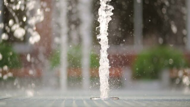 One jet of water of fountain in sunny summer day.