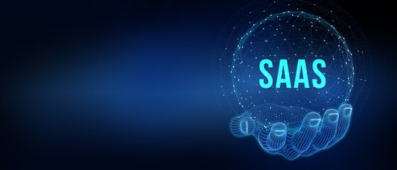 Software as a Service SaaS. Software concept. Business, modern technology, internet and networking concept. 3d illustration