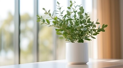 A close up of eucalyptus plant in a jar on a table