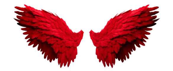 Fotobehang Red fantasy feather wings - pair of red angelical wings - isolated transparent PNG background - red wing © Mr. PNG