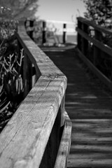 The new wood pathway built in Punta marina and Marina di Ravenna