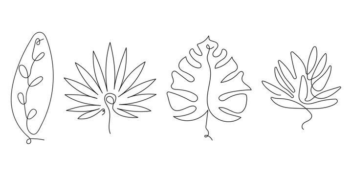 Line art. A set of one line drawings of flower leaves. Vector illustration.
