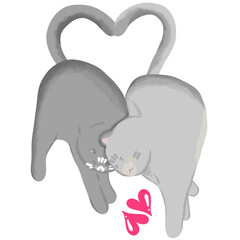 Cat in love on Valentine's day