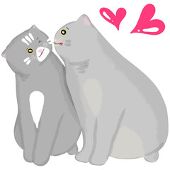 Cat in love on Valentine's day