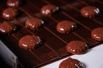 Process of chocolate glazing marshmallows in confectionery on conveyor machine. Automatic line sweet food zephyr factory