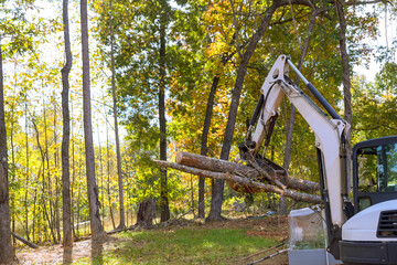 Housing complex construction: trees cleared by skid steer tractor in landscaping works