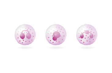 Granulocytes, basophil, neutrophil, eosinophil. Leukocytes, White blood cell. vector illustration. Vector illustration.	

