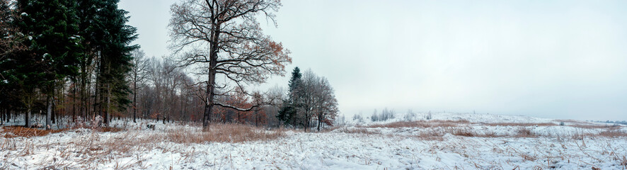 Panorama of a path through a snowy winter forest. A gloomy day after a heavy snowfall.