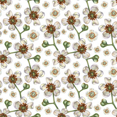 Seamless patterns with watercolor kiwi white blooming flowers for the design of fabrics, textiles, packaging, wrapping paper, backgrounds for juices, food, cakes, confectionery, sweets