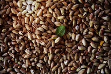 Roasted salted pistachios. Dried pistachios in small sack on  table.