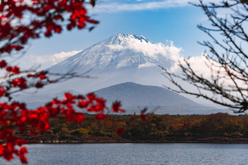 Nature Landscape view of Colorful Autumn Season and Mountain Fuji with morning fog and red leaves...
