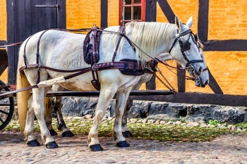Aarhus, Denmark